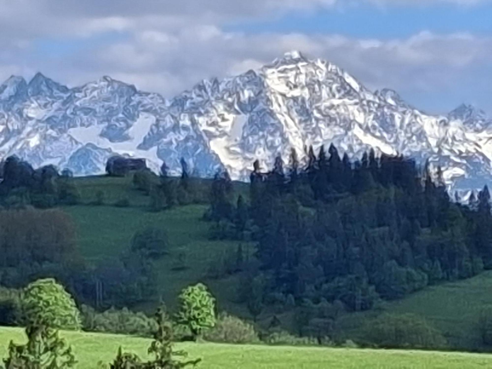 Dom Z Widokiem Na Wierchy - Panorama Na Tatry - Traditional Folk House Gliczarow Ngoại thất bức ảnh