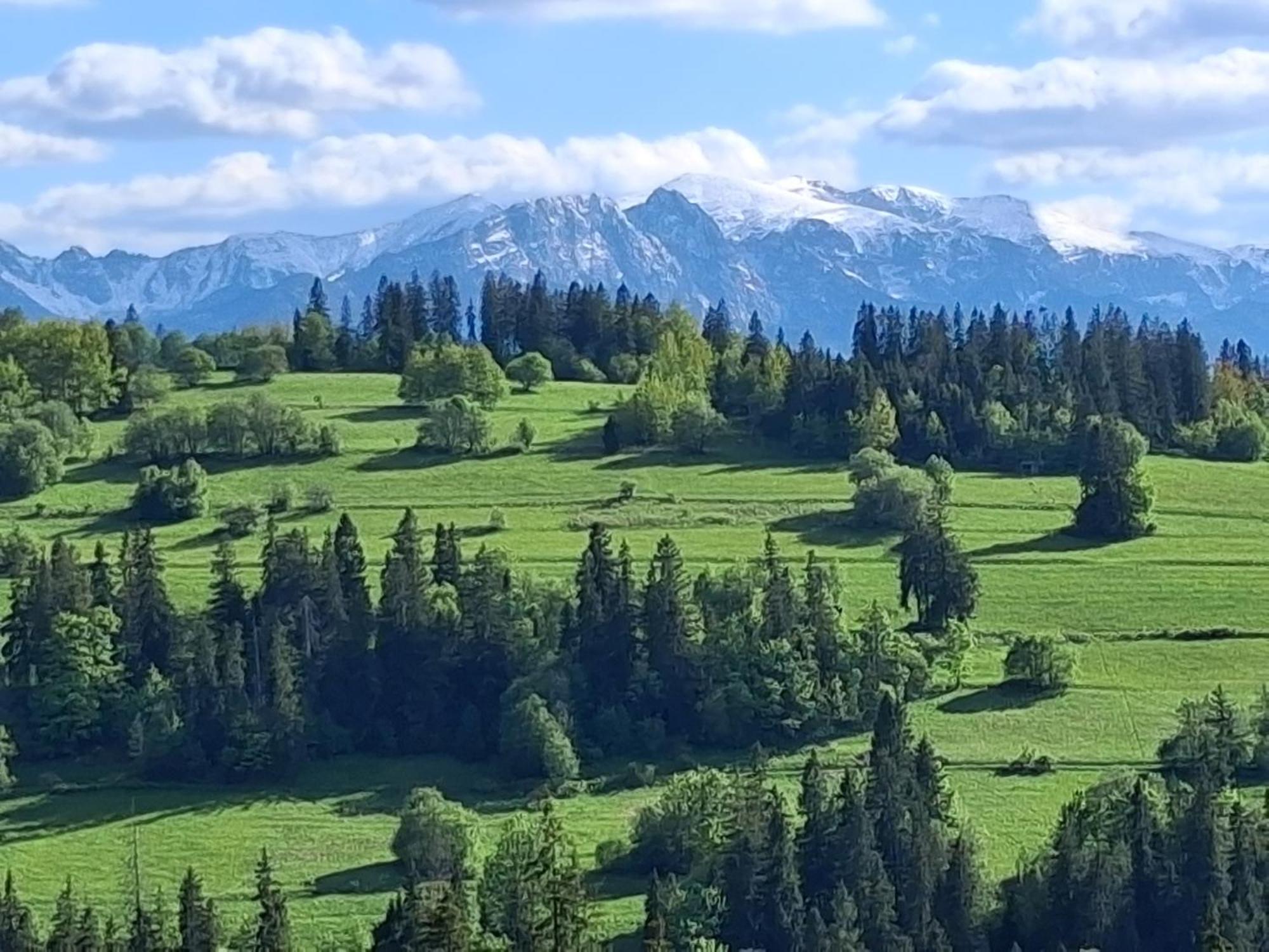 Dom Z Widokiem Na Wierchy - Panorama Na Tatry - Traditional Folk House Gliczarow Ngoại thất bức ảnh