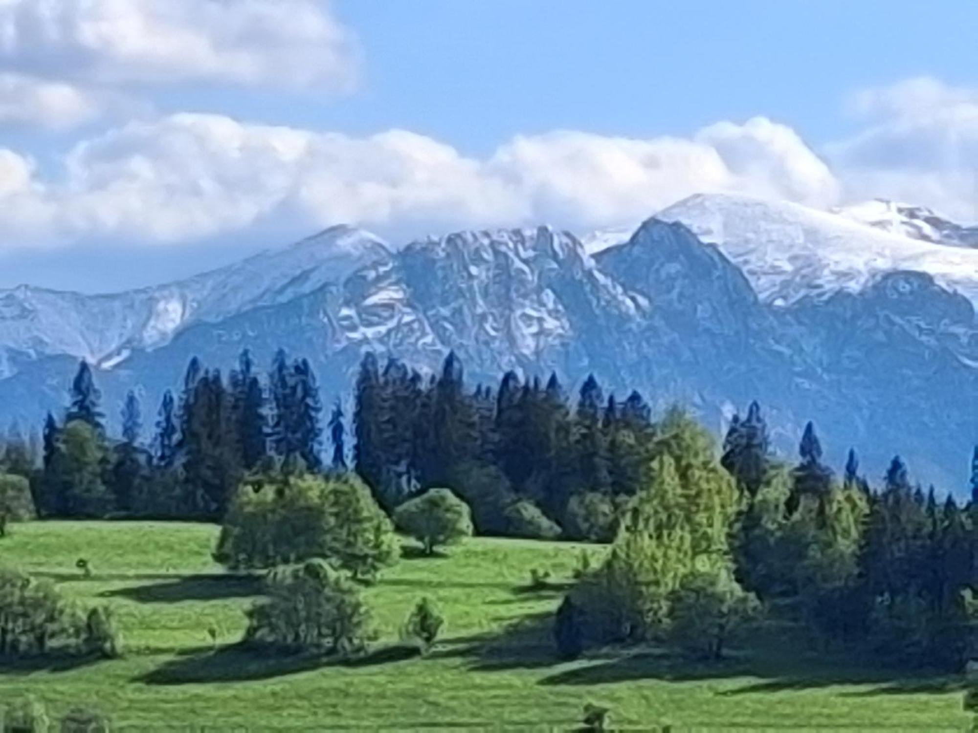 Dom Z Widokiem Na Wierchy - Panorama Na Tatry - Traditional Folk House Gliczarow Ngoại thất bức ảnh